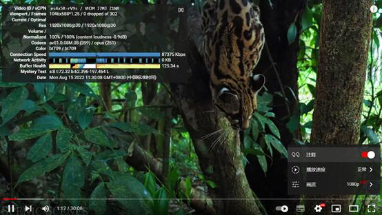 YouTube 测速